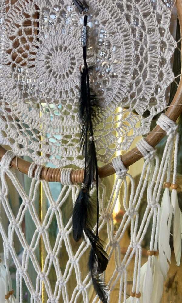 FEATHERS Clips del cabello